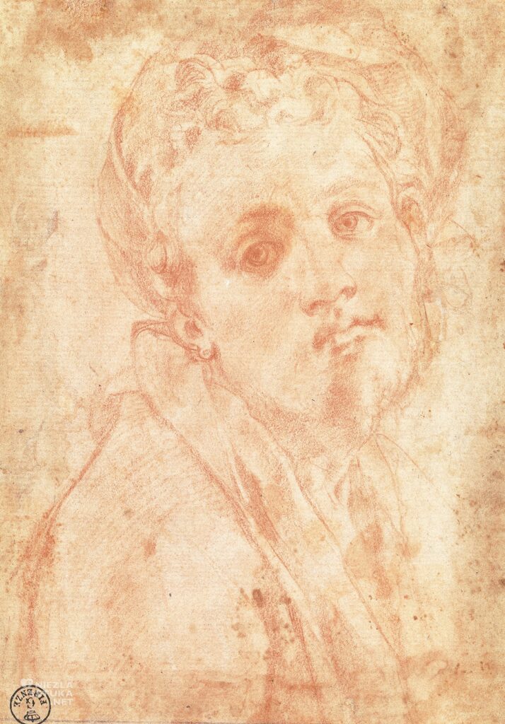 acopo Pontormo, Autoportret | 1526-1528, Galleria degli Uffizi, Florencja